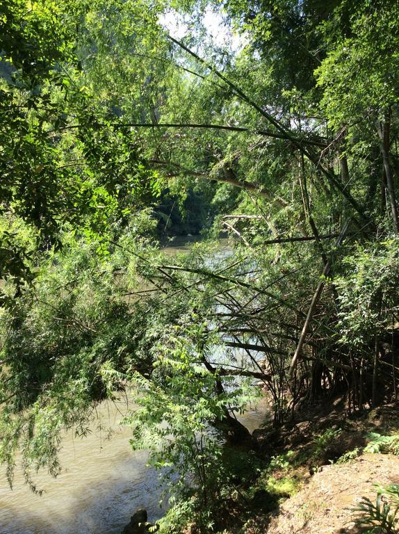 Sam'S Jungle Guesthouse Ban Huai Maenam Noi Exterior foto