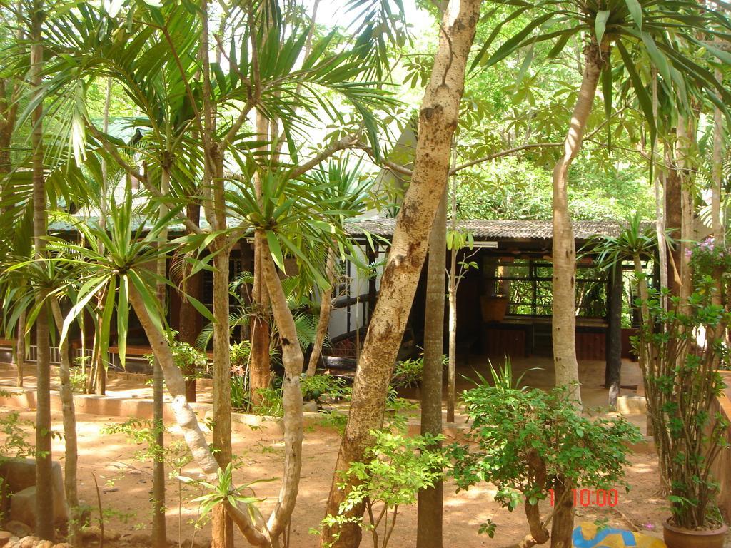 Sam'S Jungle Guesthouse Ban Huai Maenam Noi Exterior foto