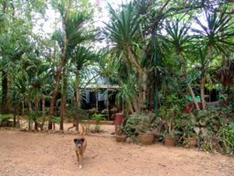 Sam'S Jungle Guesthouse Ban Huai Maenam Noi Exterior foto