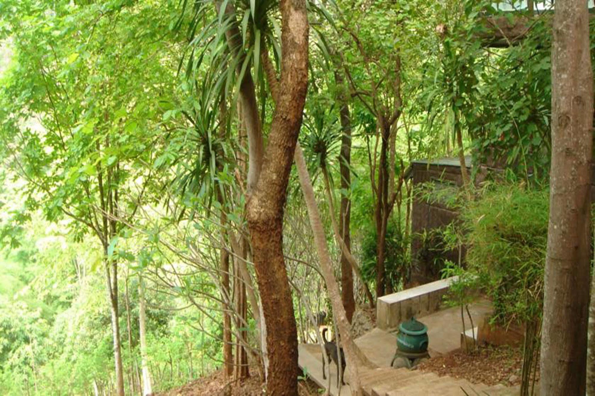 Sam'S Jungle Guesthouse Ban Huai Maenam Noi Exterior foto