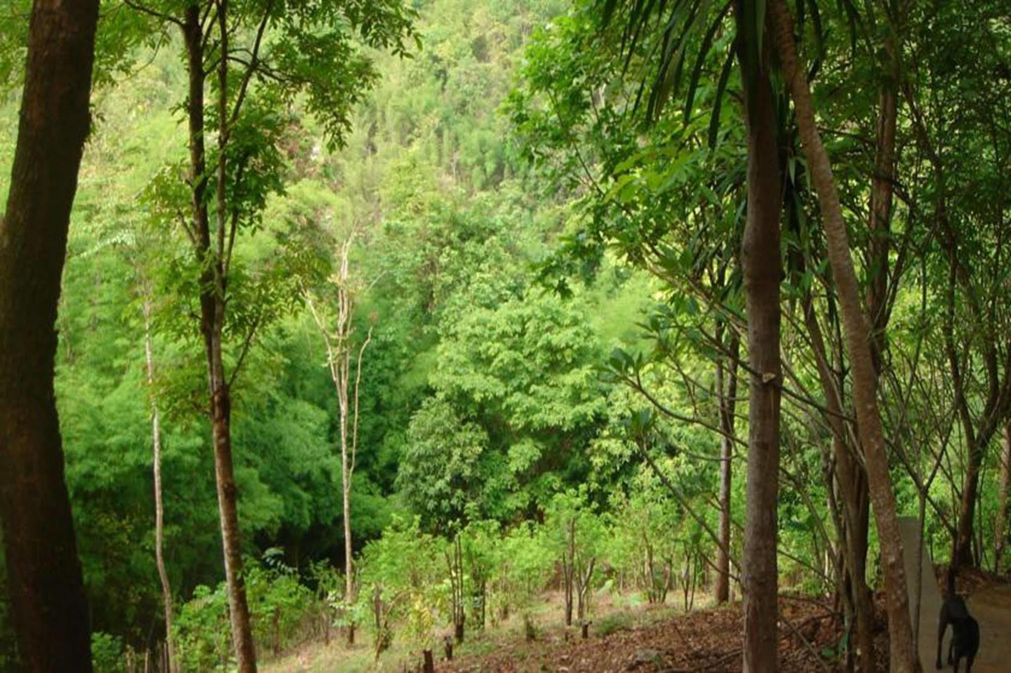 Sam'S Jungle Guesthouse Ban Huai Maenam Noi Exterior foto